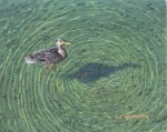 Duck by Wayne Mondok