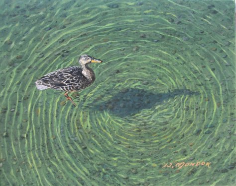Duck, by Wayne Mondok